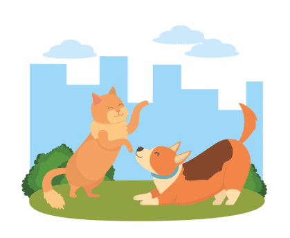 How to introduce a new pet to the rest of the household….