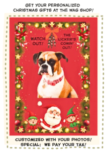 Screenshot 2025-11-12 113216